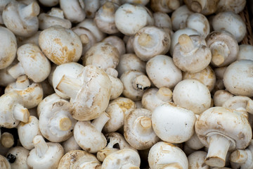 champignons on the market