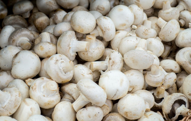 champignons on the market