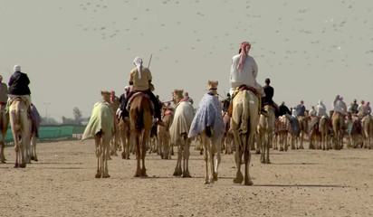 Abstract, blurry, bokeh background, image for the background. Camels and riders.