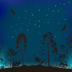 Vector illustration of wildlife. The background from the evening sky, trees and flying birds.