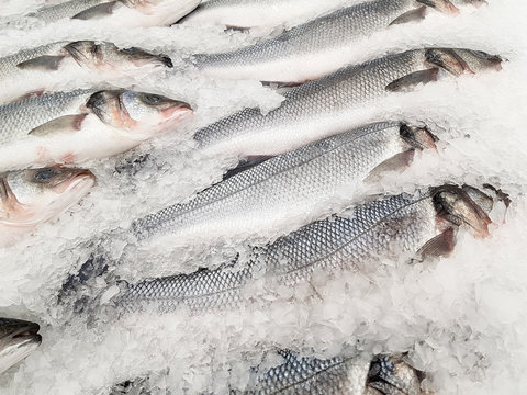 Fresh fish on ice in a supermarket for sale.