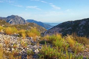 Beautiful summer mountain landscape. Balkans, Montenegro, view of Bay of Kotor