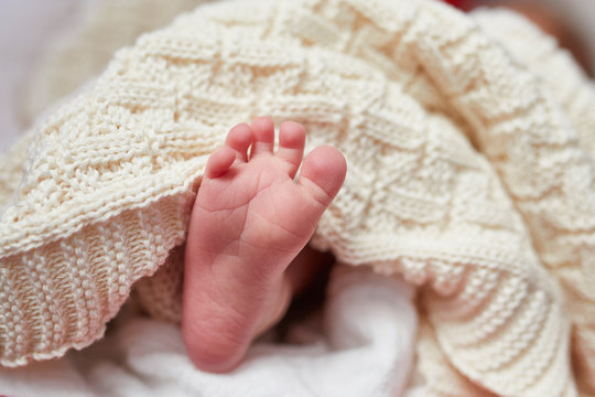 Foot Of Newborn Baby Under Knitted Blanket