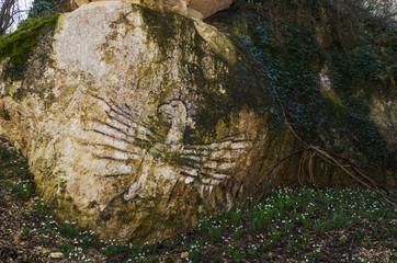 ancient petroglyphs