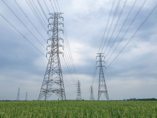 high voltage pole Located in the middle of the field, the concept of industrial growth. And the...