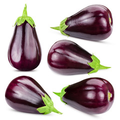 Eggplant collectionon white