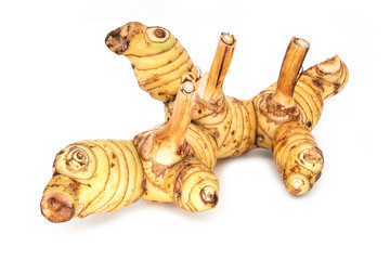 Ingwerwurzelstock isoliert