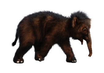 Fototapeta premium 3D Rendering Baby Woolly Mammoth on White