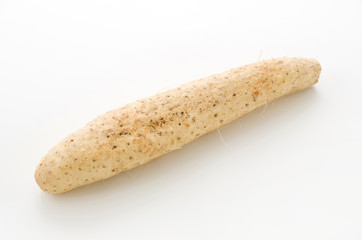 ナガイモ（長芋）