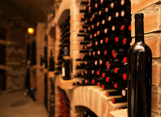 basement, warehouse in which to store wine for serving on the table