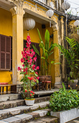 Fototapeta na wymiar tall pink hollyhocks bloom in front of historic bright yellow building in Hoi An, Vietnam