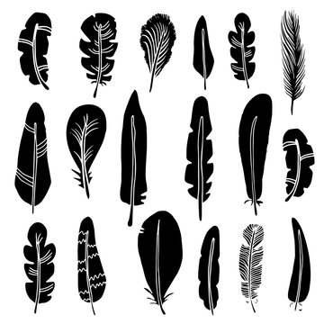 Hand drawn bird feathers, black silhouettes