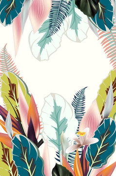 Beautiful tropical illustration or template
