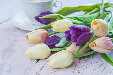 Bouquet of multicolored tulips 