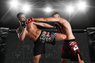 mixed fighting on arena