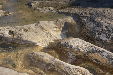 Zoom on a rock one day after the rain