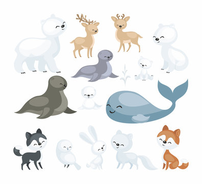 The image of cute polar animals. Vector illustrations set isolated on a white background.