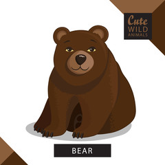 A cute bear. Vector illustration from wild animals series. A picture for children's educational books, for a print on a T-shirt or your design.
