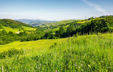 lovely mountainous countryside in summertime. grassy hillside near the forest. mountain ridge with high peak far in the distance