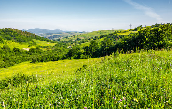 lovely mountainous countryside in summertime. grassy hillside near the forest. mountain ridge with high peak far in the distance