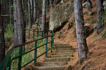 Steps up to Mountain