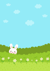 Cute bunny in the bush