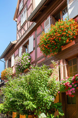 Fototapeta na wymiar Eguisheim. Maisons à colombages, Alsace, Haut Rhin. Grand Est