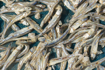 salted fish sea sun bath and dried food