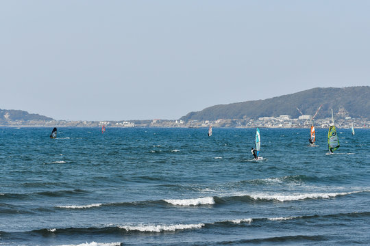 館山湾のウィンドサーフィン

