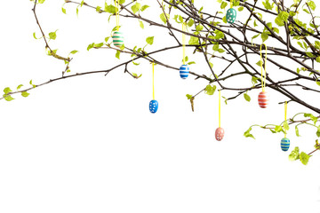 Branches of tree with easter eggs isolated on white. 