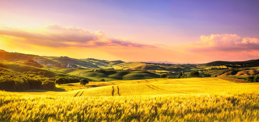 Toscane lente, glooiende heuvels bij zonsondergang. Landelijk landschap. Whaet, groene velden en bomen Italië