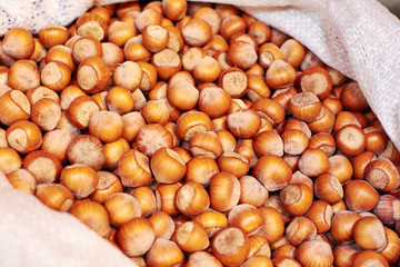Hazelnut. Fresh organic filbert. Nuts macro. Food background.