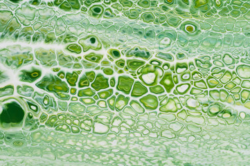 Fluid Art. Abstract colorful background, wallpaper, texture. Mixing  paints. Modern art. Marble texture