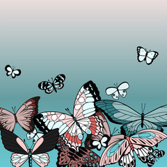 butterflies summer design vector illustration in blue