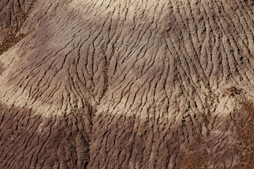 Petrified Forest National Park, Arizona USA