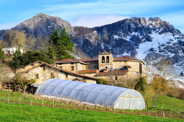 rural tourism at Basque Country fields, Spain