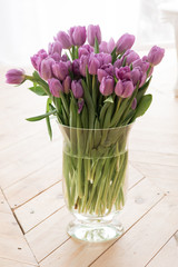Fototapeta na wymiar Purlpe tulips on a wood floor background natural light from the window