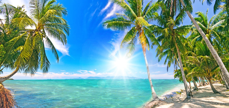 Ferien, Tourismus,  Urlaub, Sommer, Sonne, Strand, Auszeit, Meer, Gl&uuml;ck, Entspannung, Meditation: Traumurlaub an einem einsamen, Karibischen Strand :)