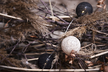 Nest interior with wooden walls 
