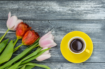 Spring tulips flowers close up background