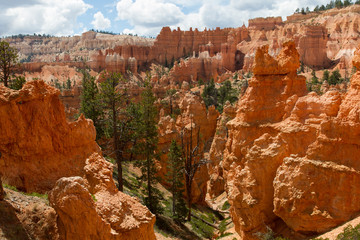 Bryce Canyon 58