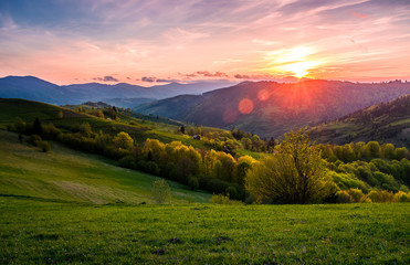 pink sunset over the mountains in springtime. gorgeous Carpathian countryside. beautiful rural...