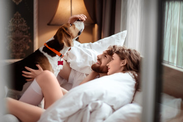 Happy family couple lies in bed, plays with favourite dog, care about animal, spend spare time in cozy bedroom and comfortable bed. Female and man have rest together with pet. Relaxation concept