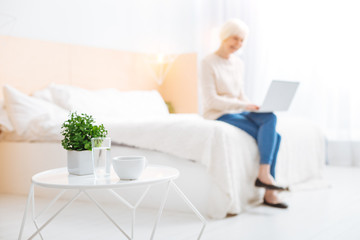 Obraz na płótnie Canvas Pleasant place. Calm positive progressive pensioner sitting on a soft white bed in a lovely comfortable light bedroom while working on a modern convenient laptop