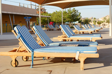 Fine place for photographers and travelers. Beautiful tropical nature and platns in United Arab Emirates.