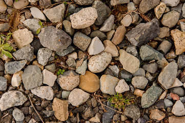 Different shapes rocks lying on the ground