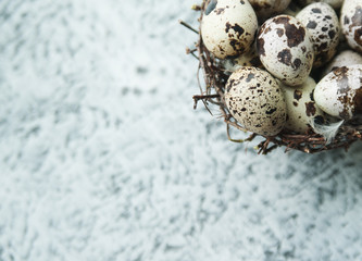 Obraz premium Quail eggs in nest on stone background. 