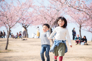 Fototapeta premium 桜と笑顔の子供