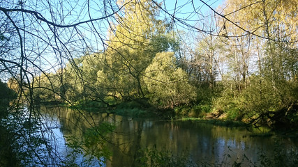 Early autumn morning by a river