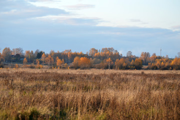 Fototapeta na wymiar Late autumn meadow